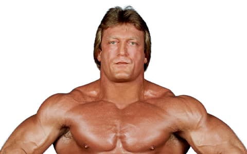 保罗·奥恩多夫（Paul Orndorff）