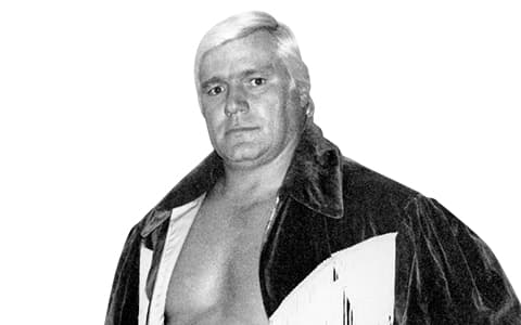 派特·帕特森（Pat Patterson）